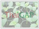 
    สถาบันส่งเสริมคุณภาพเกษตรไทย